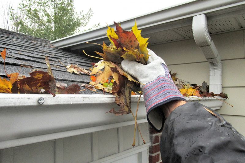 Downspout Cleaning in Fredericksburg, VA