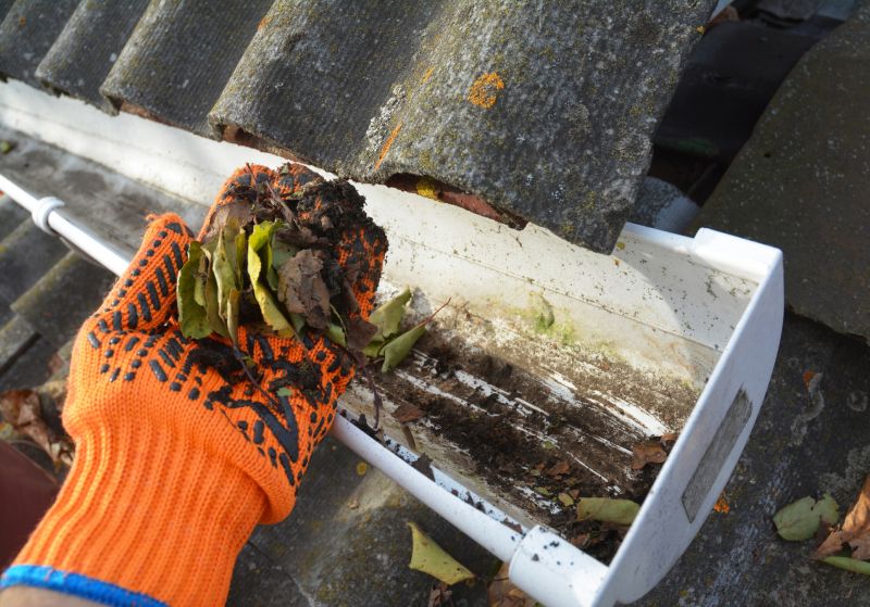 Rain Gutter Clearing in Richmond, VA