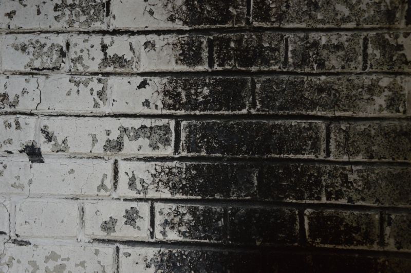 Restoration Specialists